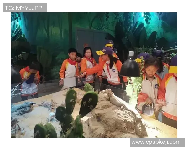 景园小学足球比赛精彩直播视频全程回顾与精彩瞬间分享